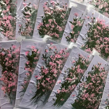 250pcs Pressionado Secas cor-de-Rosa de Gypsophila Paniculata Linn Flor Com Caule de Plantas do Herbário De Jóias, cartão Postal Cartão de Convite de DIY