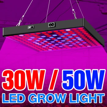 LED Cresce a Luz de Espectro Completo do Bulbo do DIODO emissor de Fábrica Lâmpada de 30W 50W Crescimento Interior Lâmpadas de LED Fito Lâmpada Para Iluminação da Estufa de Mudas