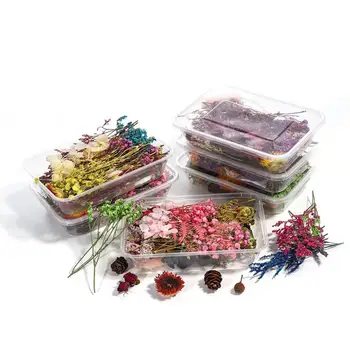 1 Caixa de Colorido de Flores Secas de Planta Seca DIY Vela de Resina Epóxi Jóias Pingente de Fazer Artesanato, Decoração Material de Acessórios