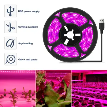LED Cresce a Luz de Espectro Completo Phytolamp USB 5V Planta Faixa de Luz 1m 2m 3m Fito Lâmpada para Plantas de Flor de Estufa Tenda Hidropônico