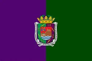 ELEIÇÃO 90x150cm Bandeira de Málaga