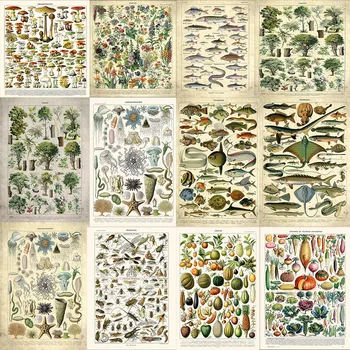 Vintage Vegetais, Frutas Cogumelo Planta Peixes, Insetos Árvore Cartaz Lona Impressão Arte De Parede Imagem De Ciência Cartaz Decoração Cozinha