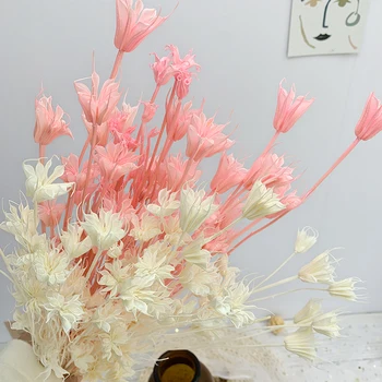 20-35cm Secas Natural, um Ramo de Flores,DIY Seco Eternelle Anis Buquê de Flores Para Decoração de Casa,Casamento Arranjo Floral