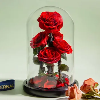 Eterna Preservado Rosas Na Cúpula de Vidro de 5 Cabeças de Flores Rosa para Sempre o Amor Favor do Casamento do Dia de são Valentim Presentes para Mulheres, Namoradas