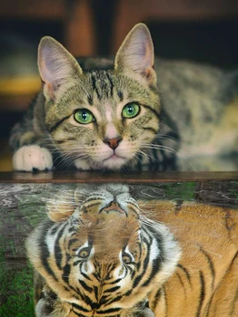 5D Diamante Pintura Completa da Broca Tigre Mosaico de Gato Reflexão Bordado de Diamante Kits Diy Strass Pintura de Decoração de Casa de Dom