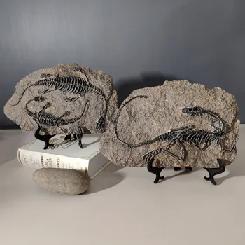 Simulação De Dinossauros Fósseis Ornamento Retro Visor Inicial Decoração Da Casa Arcaico De Decoração De Quarto
